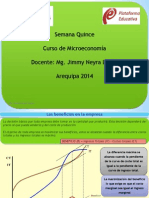 Semana 15 Micro PDF