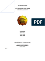 Contoh Laporan Praktikum PDF