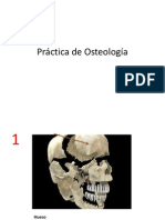 Practica - de - Osteologia Resuelta