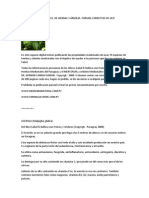PROPIEDADES MEDICINALES - plantas del Paraguay.docx