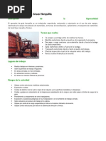 Manejo Seguro para Gruas Horquilla.docx