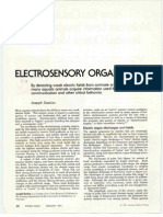 Bastian (1994) Electrosensory Organisms