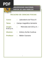 campo magnetico.....1123.docx