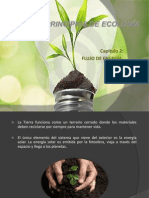 Capítulo 2 Flujo de energía.pptx