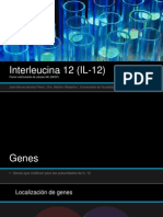 Interleucina 12 (IL-12)