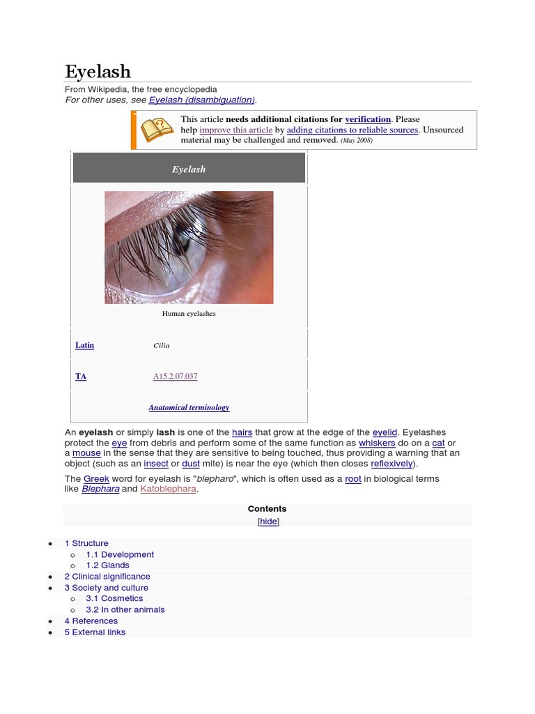 Eyelash | PDF | Facial Features | Beauty