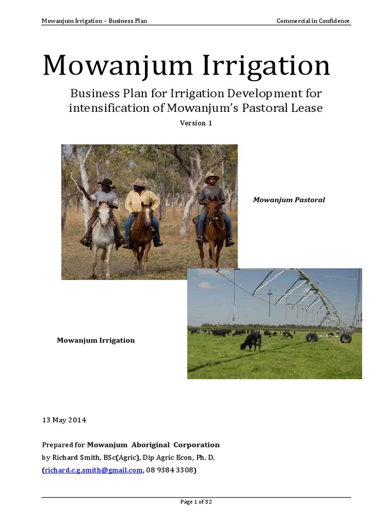 Mowanjum Irrigation Business Plan 8 PDF PDF Irrigation Hay