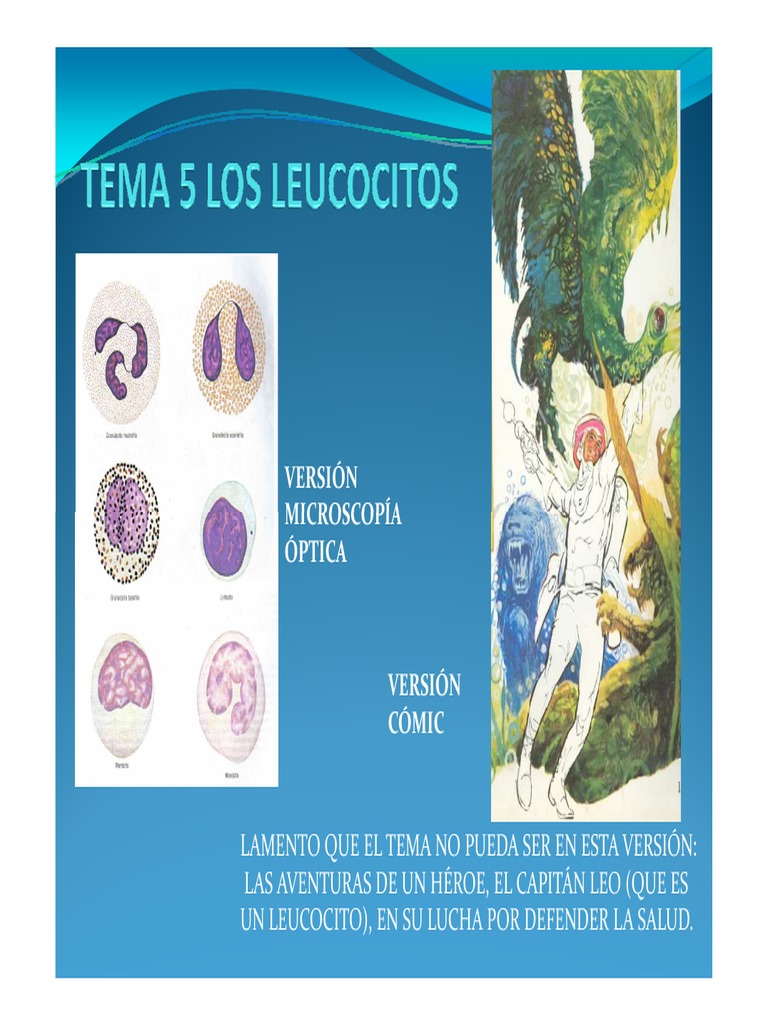 TEMA 5 LEUCOCITOS I pdf Inflamaci n Leucocito