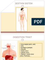 Digestivni Sistem - II Predavanje