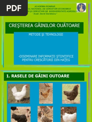 Cresterea GÄƒinilor OuÄƒtoare Metode Si Tehnologii