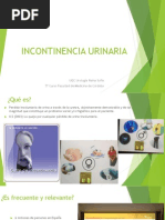 Download INCONTINENCIA URINARIA FINALppt by REGUEIROJC SN241687309 doc pdf