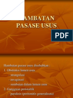 Hambatan Pasase Usus