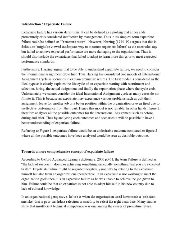 What is an expat image