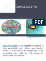 Introducción PDF