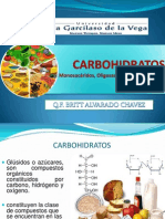 227481797-CARBOHIDRATOS-2013-FARMACOGNOSIA.pptx