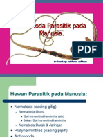 Klinis Nematoda Usus