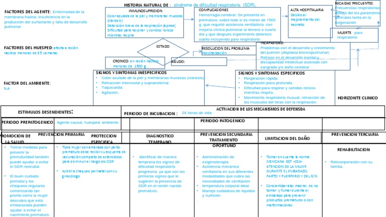 SDR historia nat..ppt | Parto prematuro | Sistema respiratorio