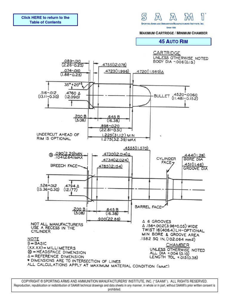 45 Auto Rim | PDF