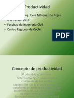 Concepto de Productividad PDF