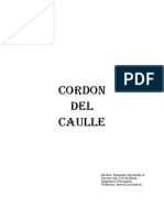 Trabajo Cordon del Caulle.pdf