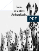perritos.pdf