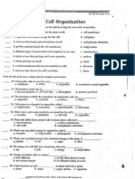 ch  2-4 worksheet - cell organization