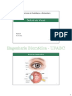2013_deficiencia-visual.pdf