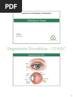 2013_deficiencia-visual.pdf