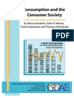 Consumption and The Consumer Society