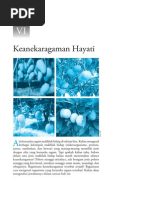 Download Bab6_keanekaragaman hayatipdf by cuenk80 SN241745343 doc pdf