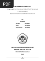 Download MenghitungSelDarahMerahdanSelDarahPutihPadaIkanLelebyDarmadiSN24174751 doc pdf