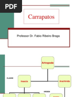 Carrapatos.pdf