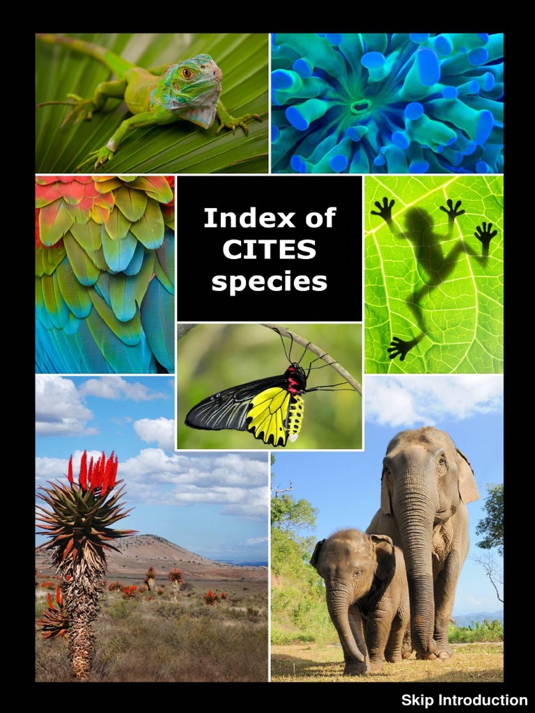 Index Of Cites Species Custom 14 06 13 11 22 Pdf Pdf Genus Cites
