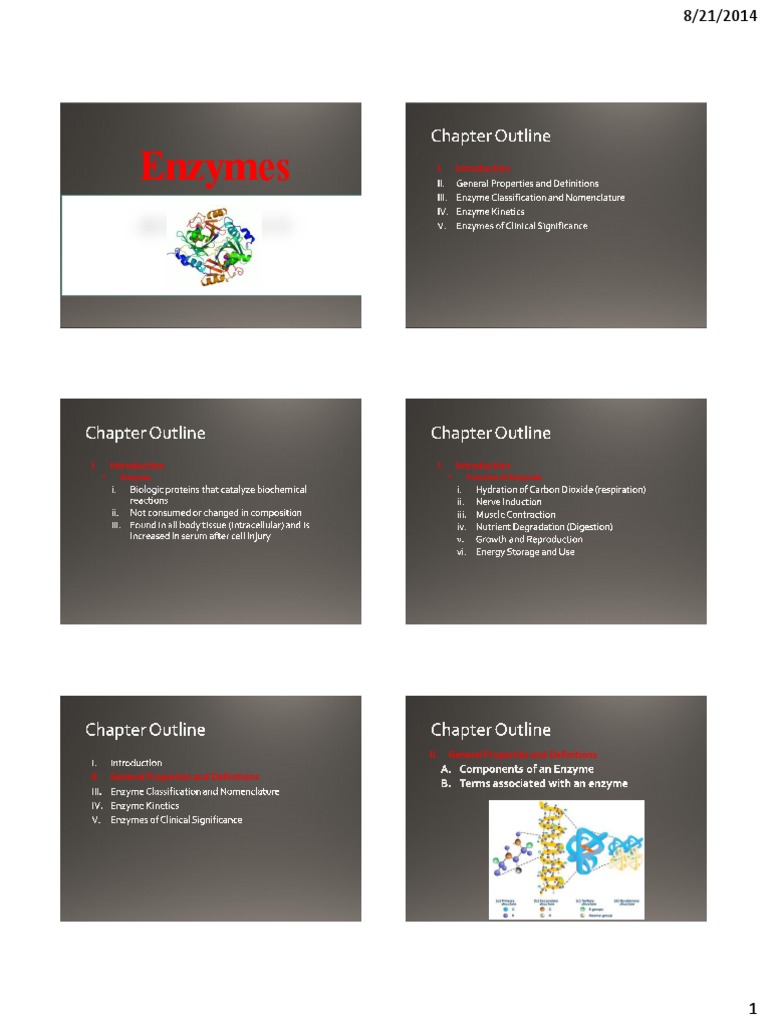 Enzymes Enzyme Function of Enzymes PDF Lactate Dehydrogenase