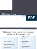 4-Odontogênese.pdf