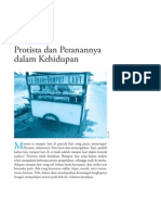 Bab4 Protista PDF