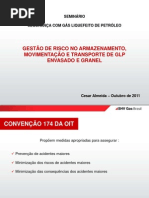 GESTÃO DE RISCO GLP.pdf