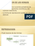 La micología.ppt