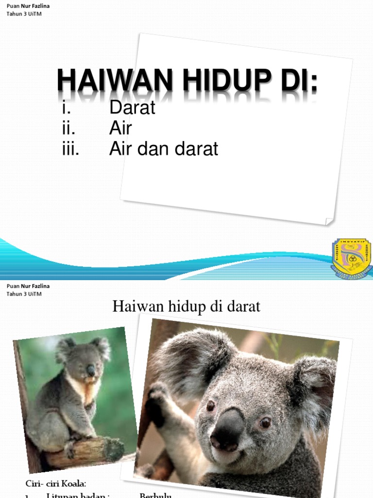 Haiwan Hidup Thn 4 Pdf