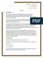 Epistaxis PDF