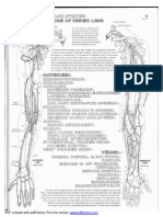 PDF Created With Pdffactory Pro Trial Version