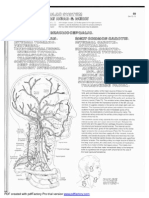 PDF Created With Pdffactory Pro Trial Version