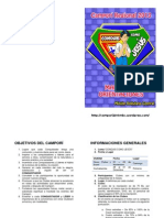 Convocatoria MBC 2013 Final1 PDF