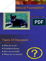 Pp04 Foundation Introduction
