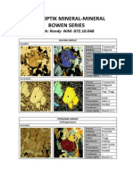 Optical Properties of Bowen Series Mineral