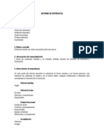 Informe Entrevista PDF