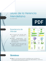 Leyes de La Herencia Mendeliana