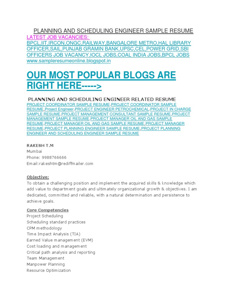 Planning and Scheduling Engineer Sample Resume PDF Procurement Accountability