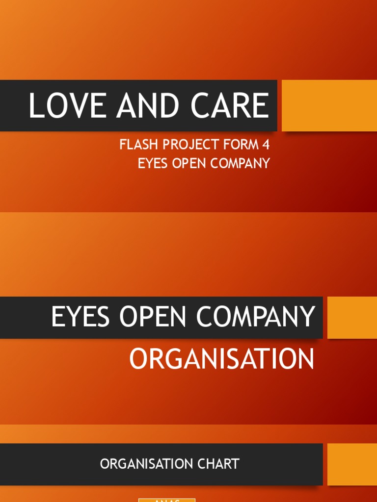 Eyes Open Company Project Overview | PDF | Art