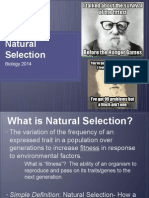 Natural Selection Revized